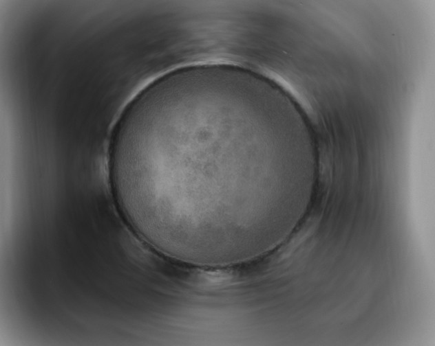 X0000092331460200709141408