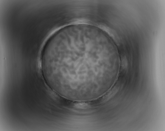 X0000092331462200709141408