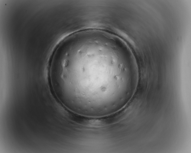 X0000092331463200709141408