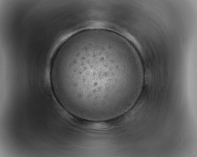 X0000092331464200709141408