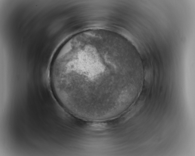 X0000092331466200709141408