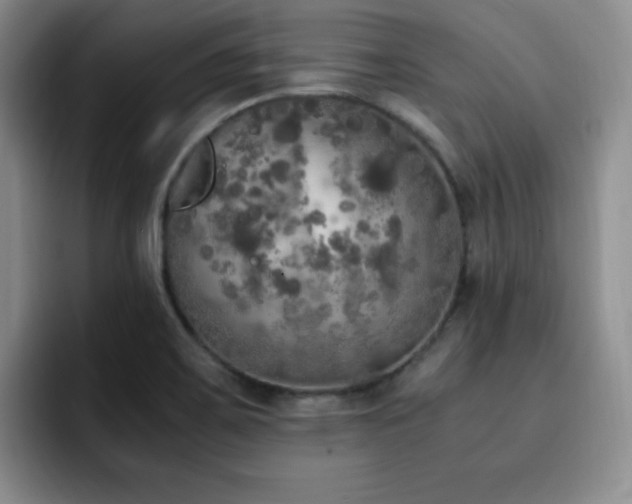 X0000092331467200709141408