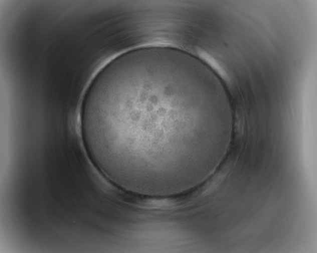 X0000092331468200709141408