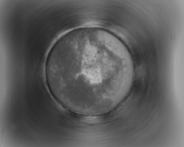 X0000092331470200709141408