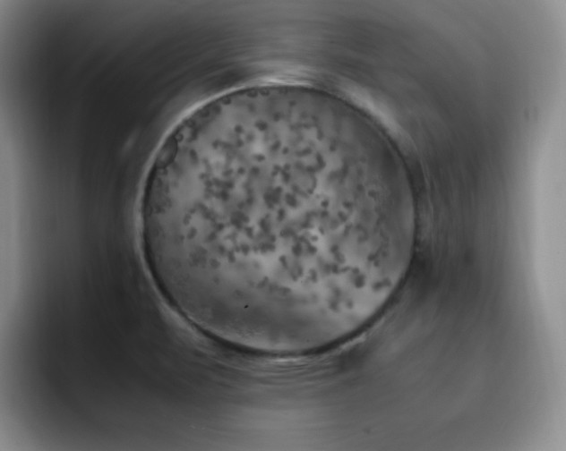 X0000092331471200709141408