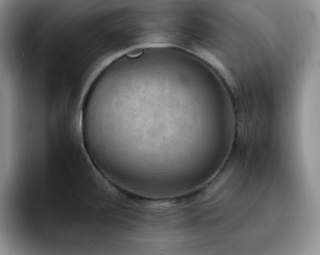 X0000092331472200709141408