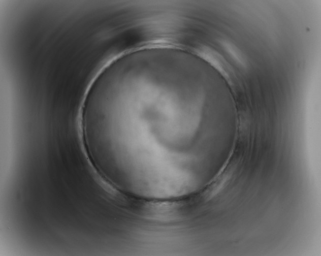 X0000092331474200709141408