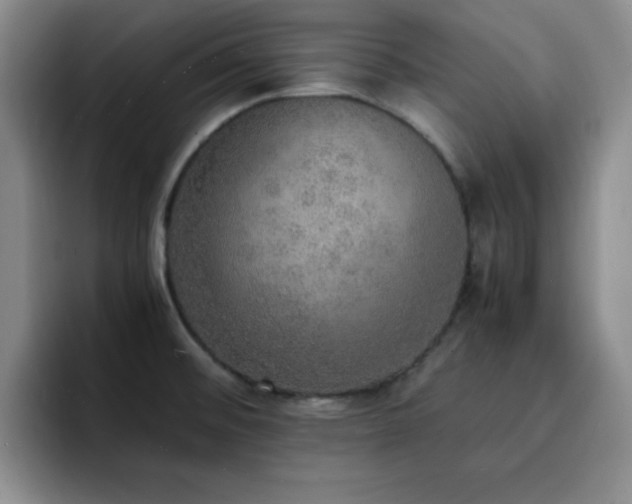 X0000092331476200709141408