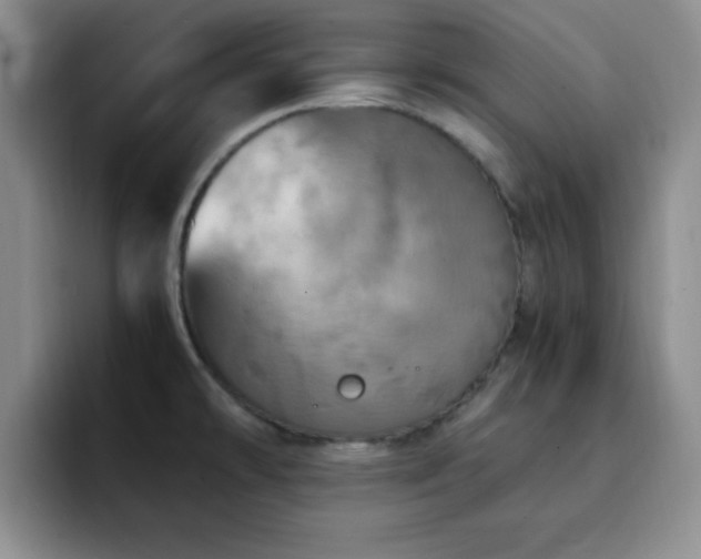 X0000092331478200709141408