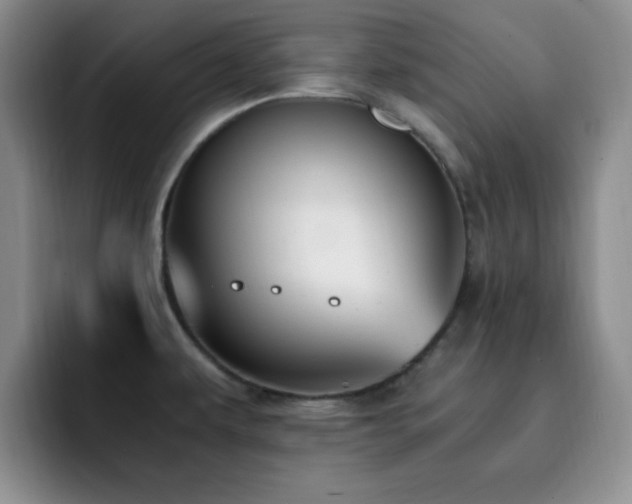 X0000092331479200709141408