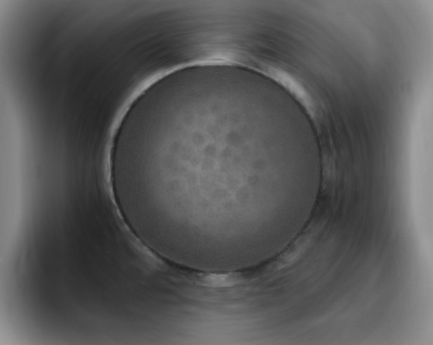 X0000092331480200709141408