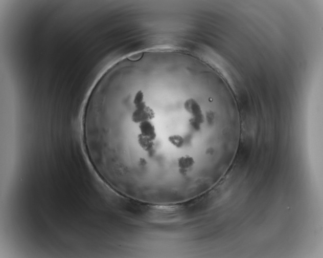 X0000092331483200709141408