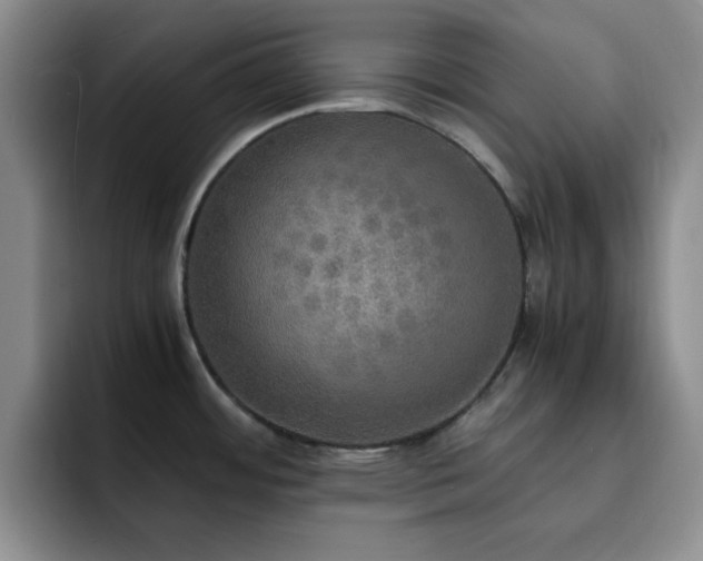 X0000092331484200709141408