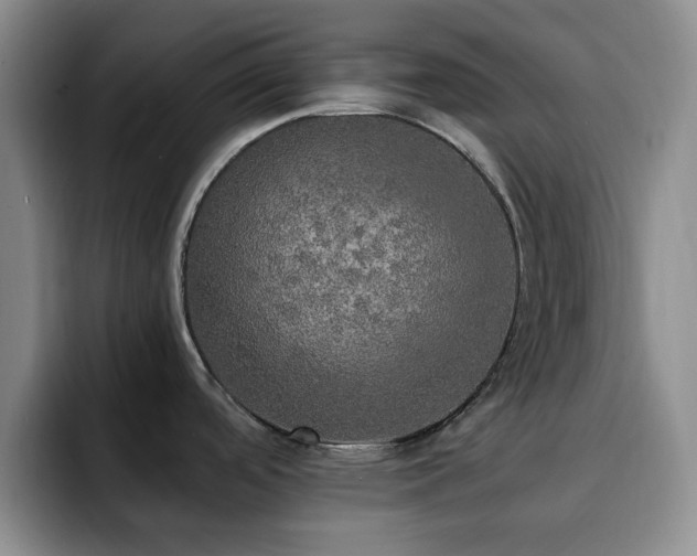 X0000092331488200709141408