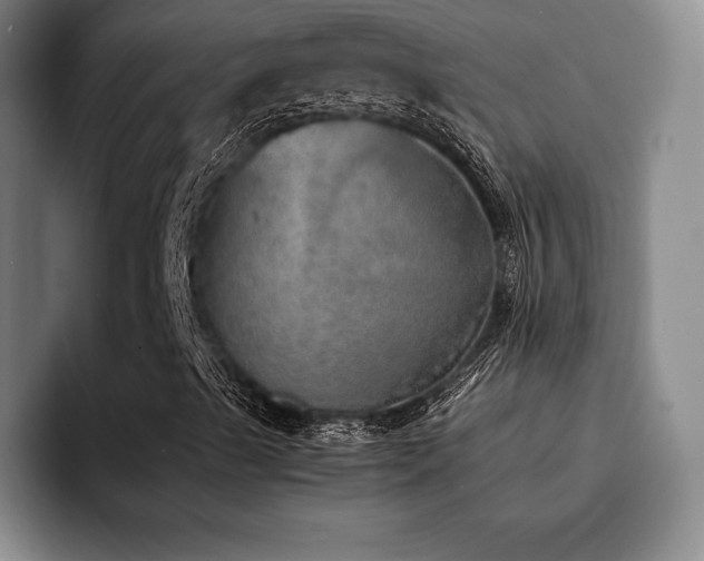 X0000092331489200709141407