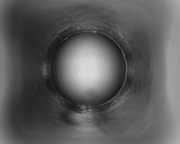 X0000092331490200709141407