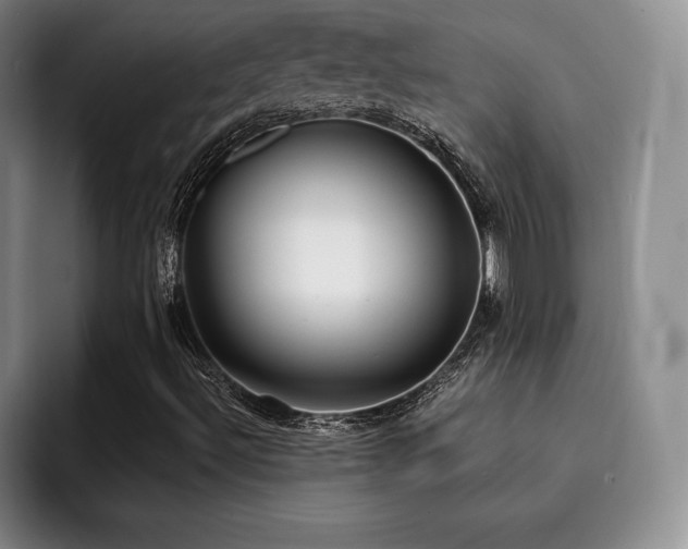 X0000092331492200709141407