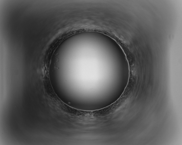 X0000092331495200709141407