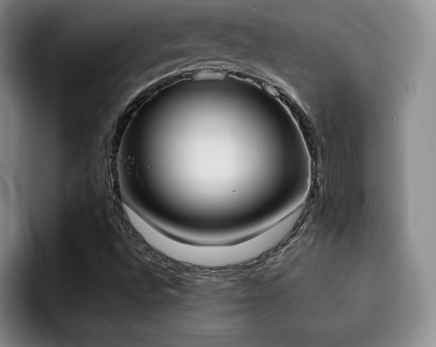 X0000092331496200709141407