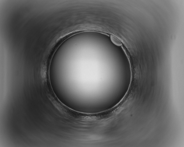 X0000092331499200709141407