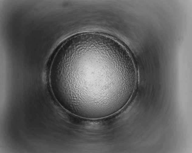 X0000092331501200709141407