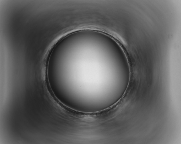 X0000092331504200709141407