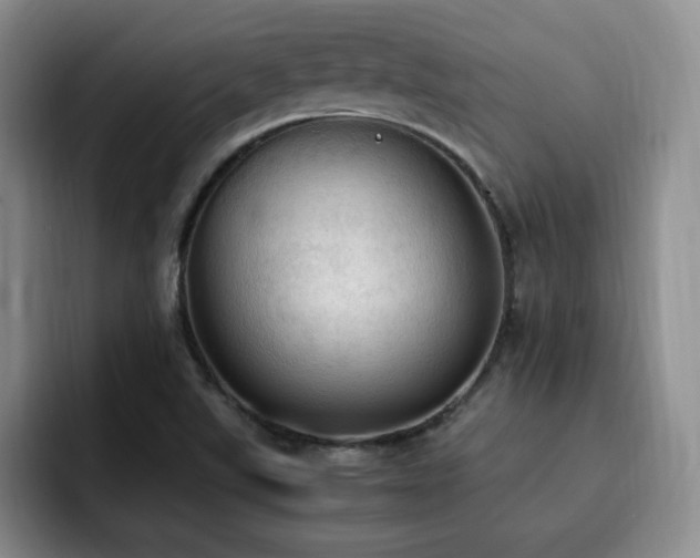 X0000092331507200709141407