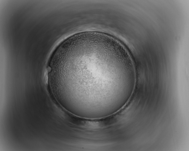 X0000092331509200709141407