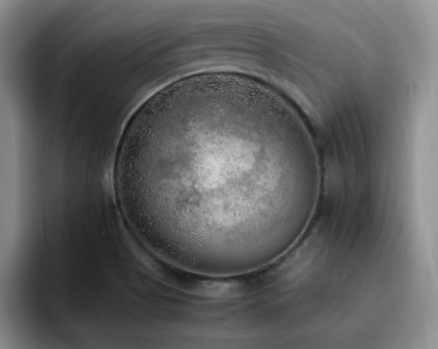 X0000092331513200709141408