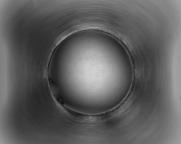 X0000092331521200709141408