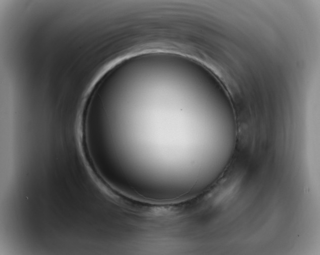 X0000092331523200709141408