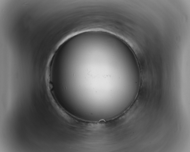 X0000092331526200709141408