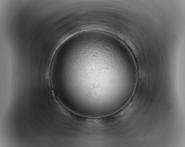 X0000092331529200709141408