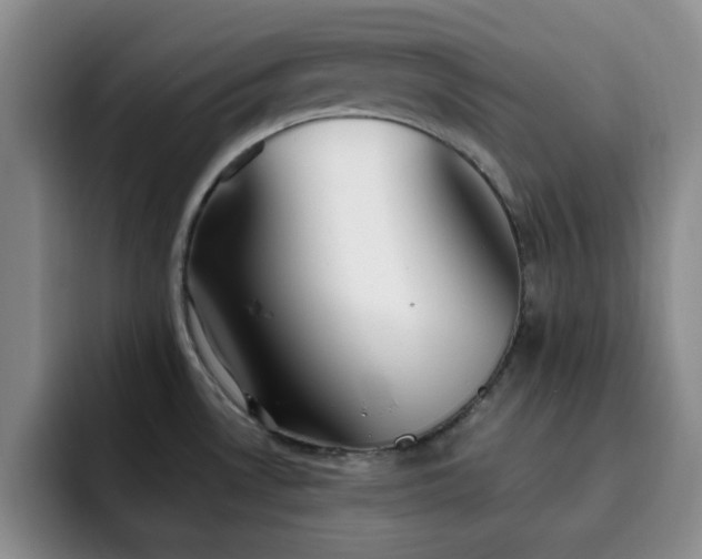 X0000092331530200709141408