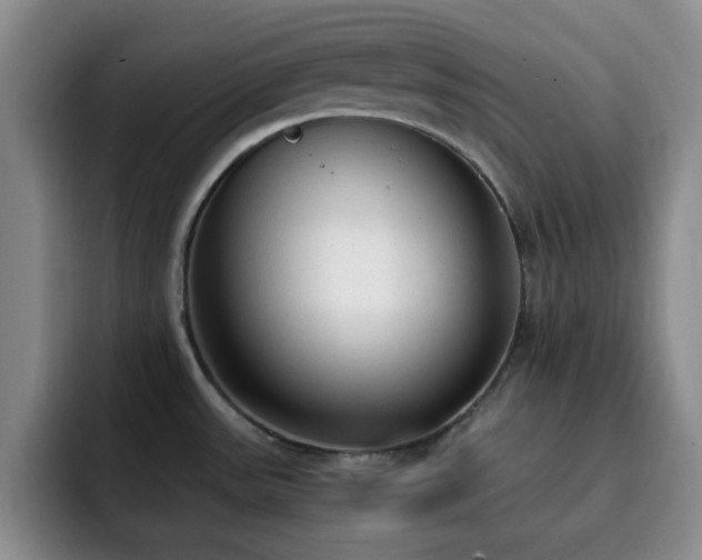 X0000092331531200709141408