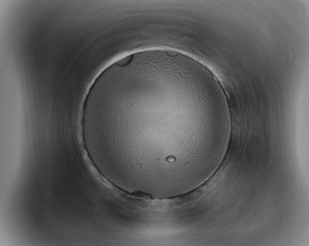 X0000092331534200709141408