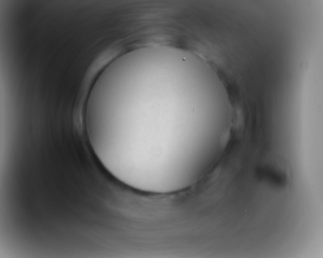 X0000092330004200709211315