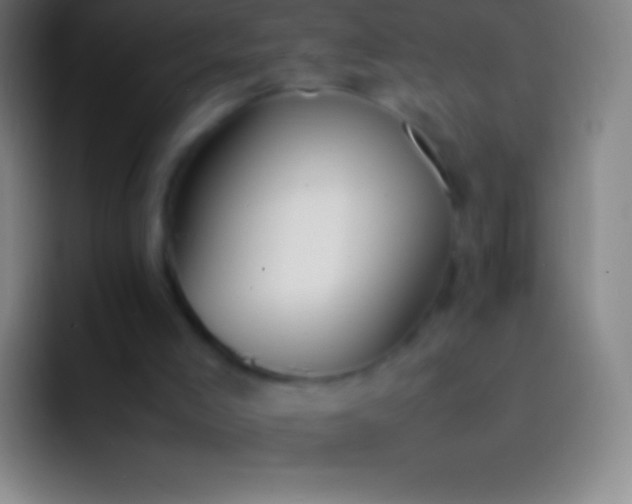 X0000092330005200709211315