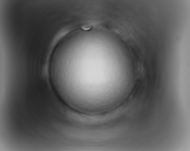X0000092330006200709211315