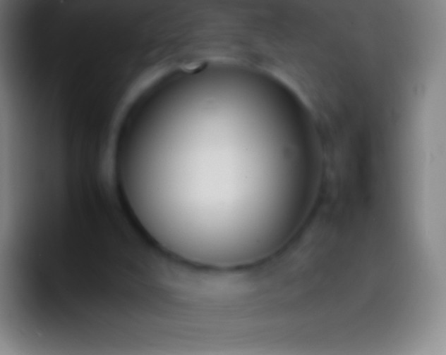 X0000092330008200709211315