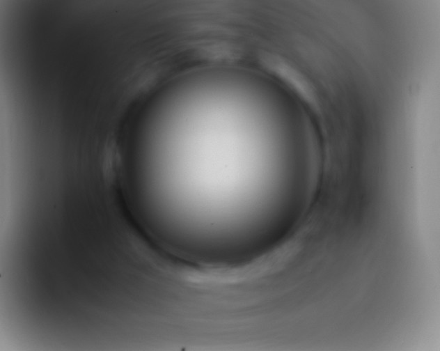 X0000092330009200709211315