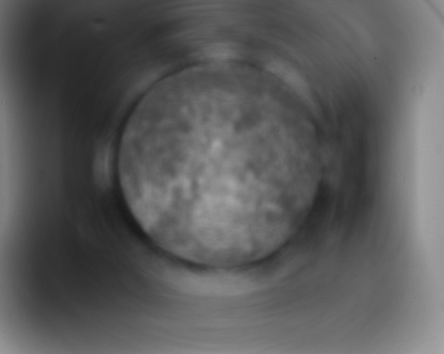 X0000092330012200709211315