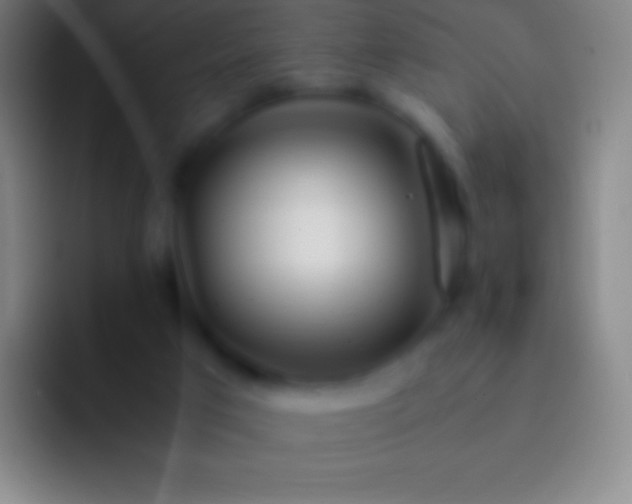 X0000092330017200709211315