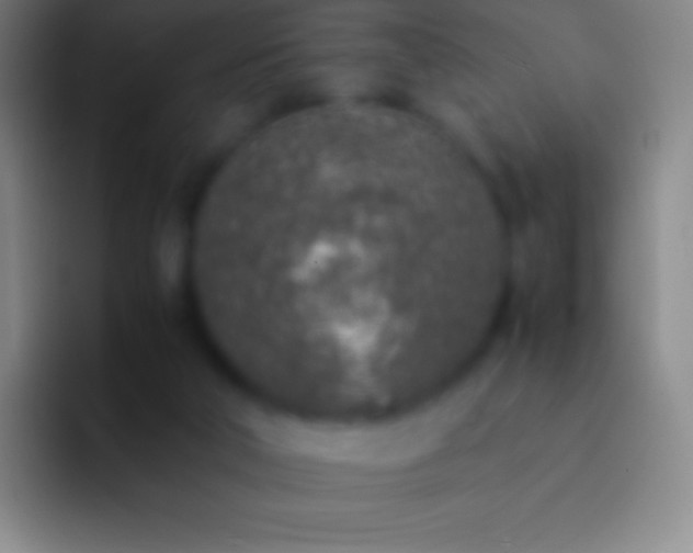 X0000092330018200709211315