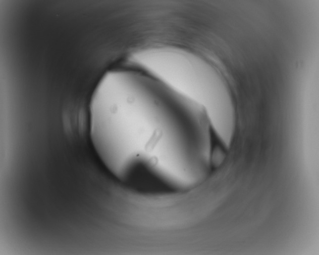 X0000092330019200709211315