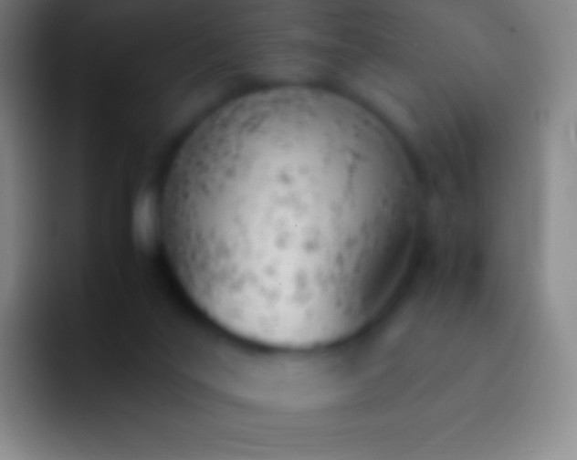X0000092330020200709211315