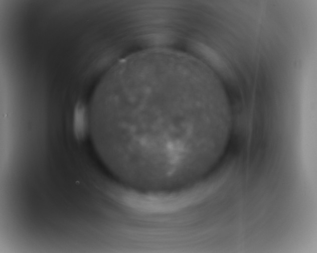 X0000092330022200709211315