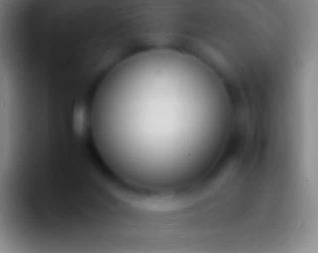 X0000092330024200709211315