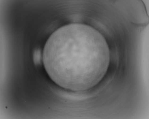 X0000092330028200709211315