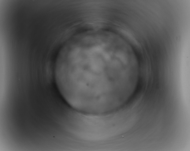 X0000092330030200709211315